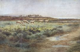 Arthur Wilkinson (British 1860-1930): Sheep on Fenland
