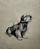 Cecil Aldin (British 1870-1935): Portrait of 'Bobby' the Terrier