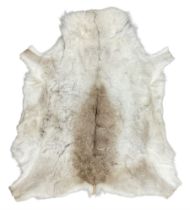 Raindeer skin rug