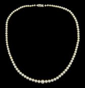 Mikimoto graduated single strand cultured pearl necklace