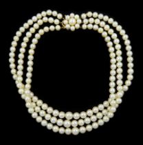 Triple strand graduating cultured pearl necklace