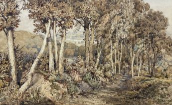 John Joseph Cotman (British 1814-1878): 'Figure Walking Down a Woodland Path'