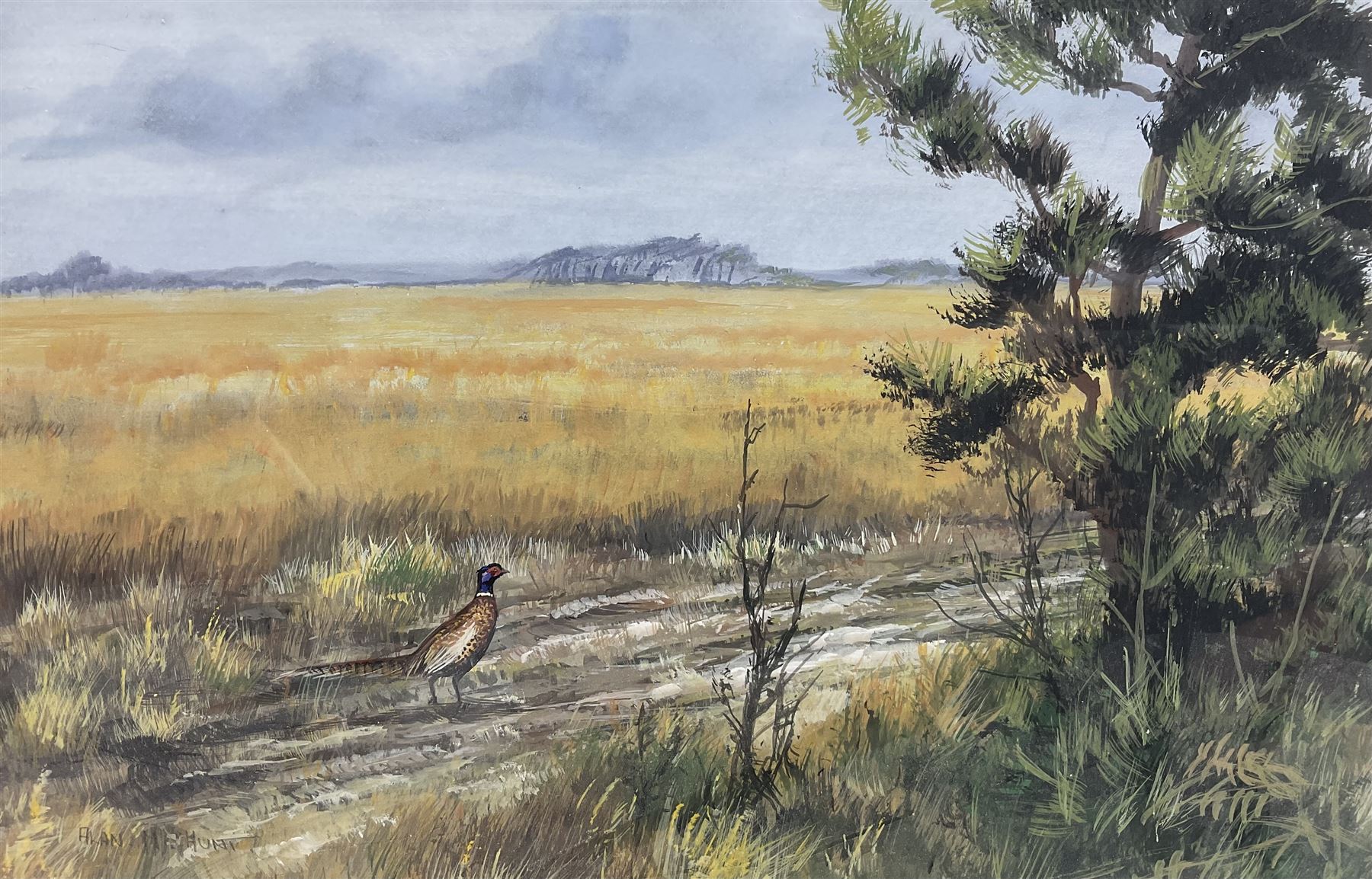 Alan M Hunt (British 1947-): Pheasant in Farmer's Field