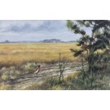 Alan M Hunt (British 1947-): Pheasant in Farmer's Field