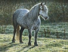 Andrew Hutchinson (British 1961-): Dappled Grey Pony