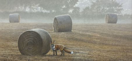 Andrew Hutchinson (British 1961-): Fox in the Field with Hay Bales