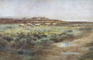 Arthur Wilkinson (British 1860-1930): Sheep on Fenland