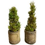 Pair of cast stone cylindrical planters