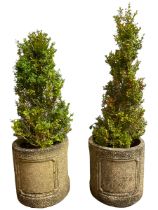 Pair of cast stone cylindrical planters