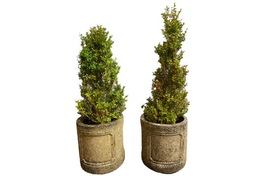 Pair of cast stone cylindrical planters - Image 1 of 5