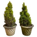Pair of weathered cast stone garden planters