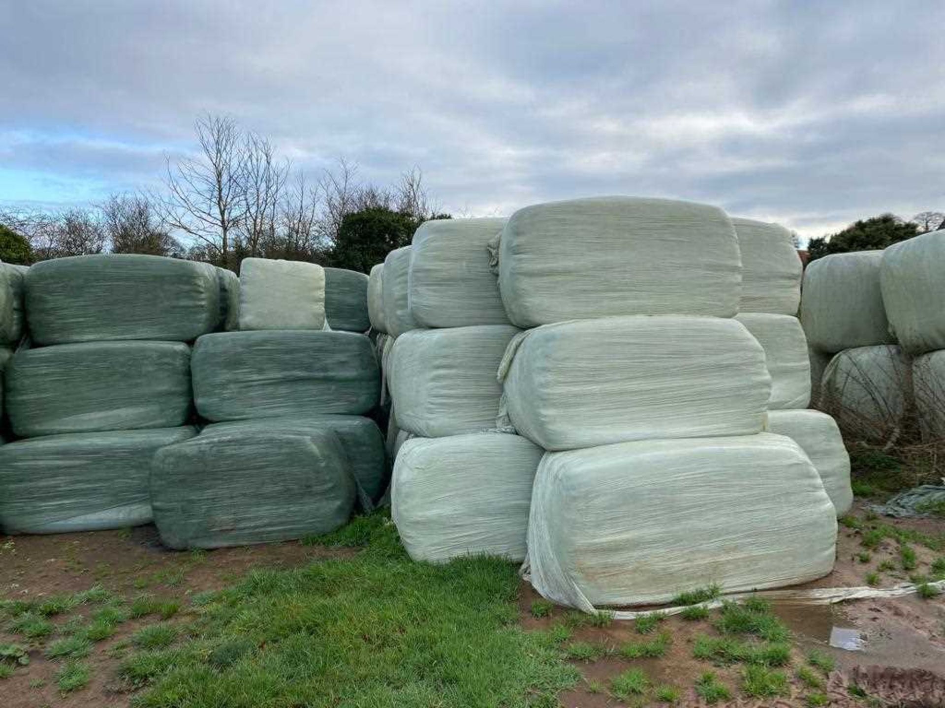 80x90 Haylage 6’6 Second Cut, Double Wrapped Meadow Grass (50 of) (Being Sold Offsite)
