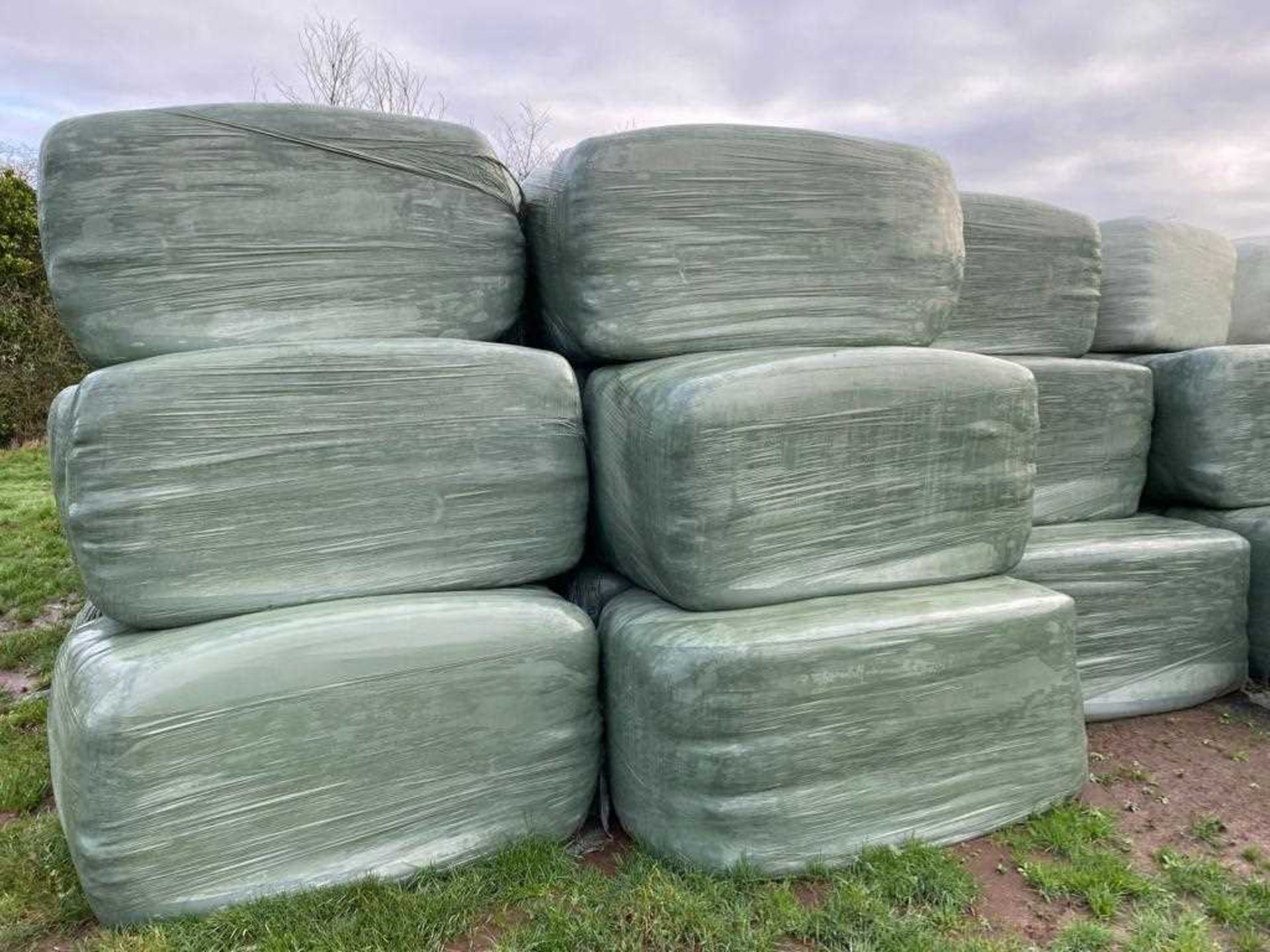 80x90 Haylage 6’6 Second Cut, Double Wrapped Meadow Grass (50 of) (Being Sold Offsite) - Image 2 of 2