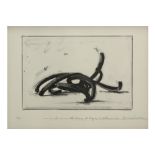 Bernar Venet signed print (offset lithograph) - titled and dated 2004 || VENET BERNAR (° 1941) print