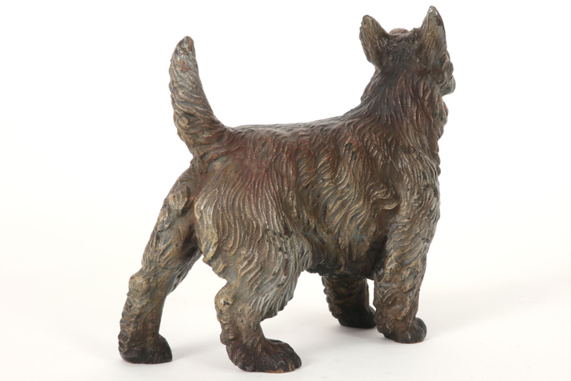 'antique' Viennese Dog sculpture in bronze with remains of the original polychromy || 'Antieke' - Image 4 of 4