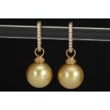 pair of "Saria & C° Antwerp" earrings in yellow gold (18 carat) with typical "Saria South Sea pearls