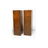 pair of 20th Cent. Belgian wall cabinets designed by Danny Vanheste in oxidized corten steel with