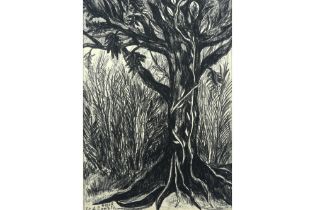 20th Cent. charcoal drawing - signed Etienne Le Compte || LE COMPTE ETIENNE (STEVENBERG, LODE) (1931