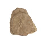Ancient Egyptian New Kingdom limestone wall sculpture with the representation of the head of a god