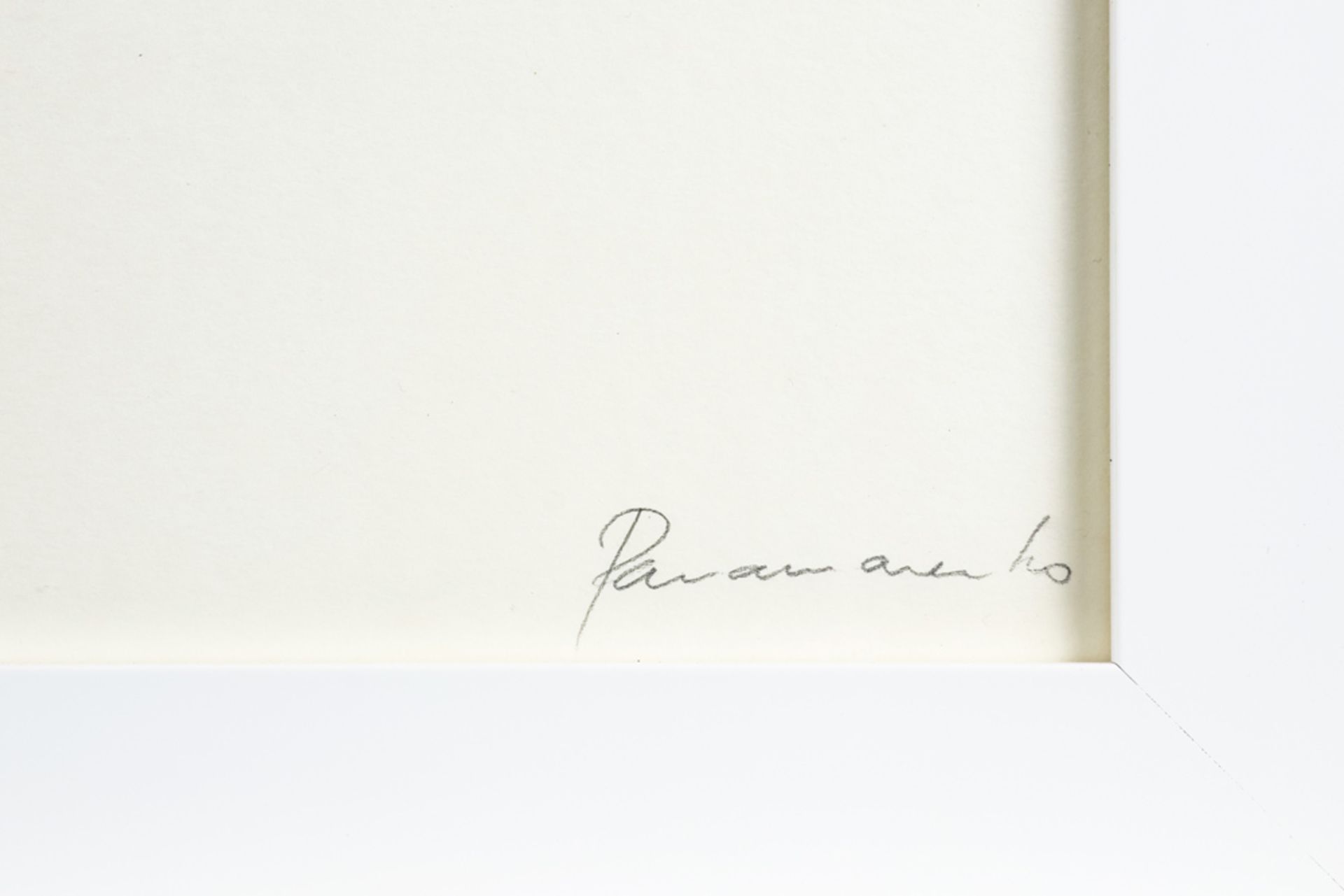quite large "Umbilly" lithograph (paper on canvas) dd 1976 - signed Panamarenko || PANAMARENKO (PS - Bild 2 aus 3
