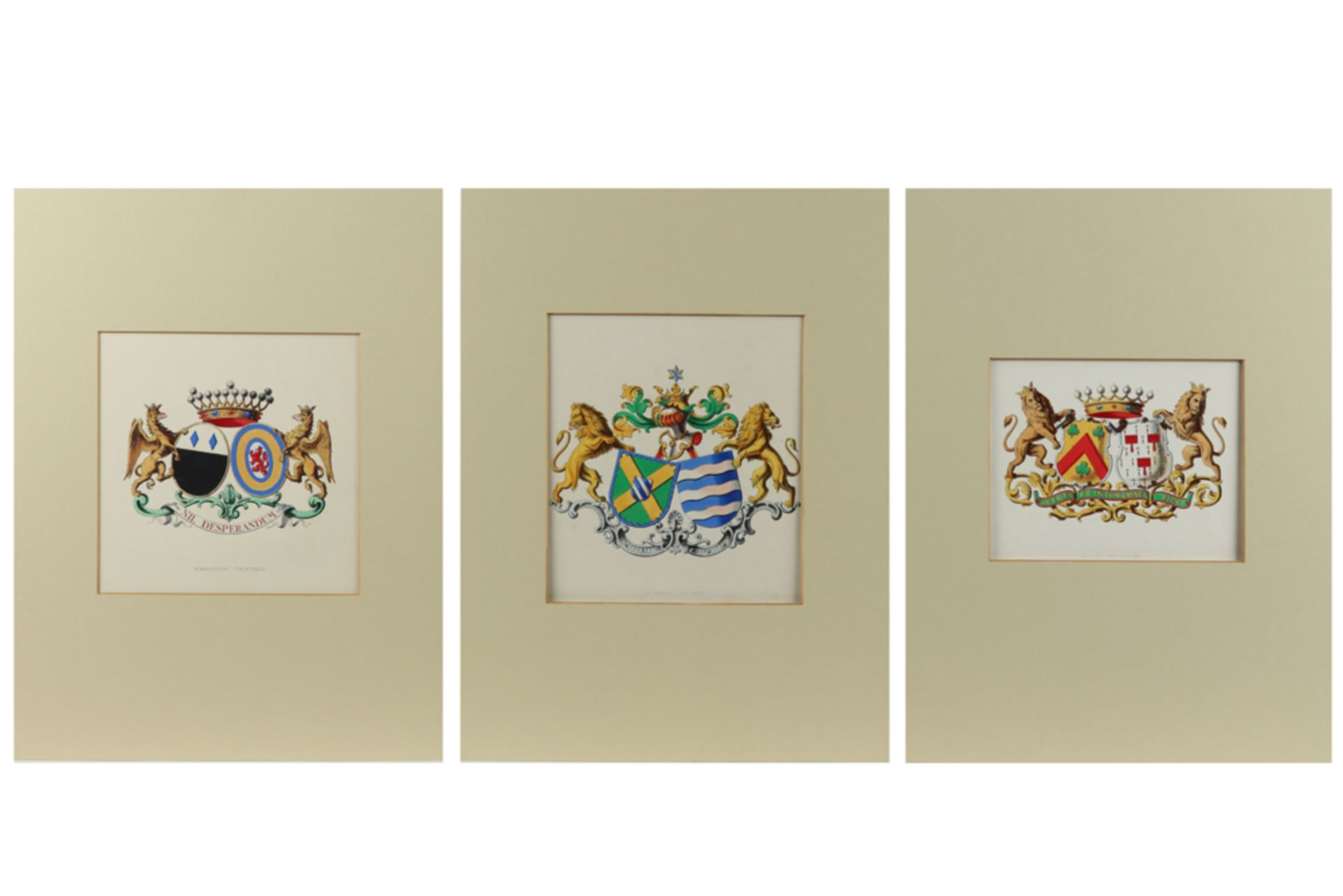 15 coloured engravings with crests || Lot van 15 ingekleurde gravures met wapenschilden - Bild 3 aus 6