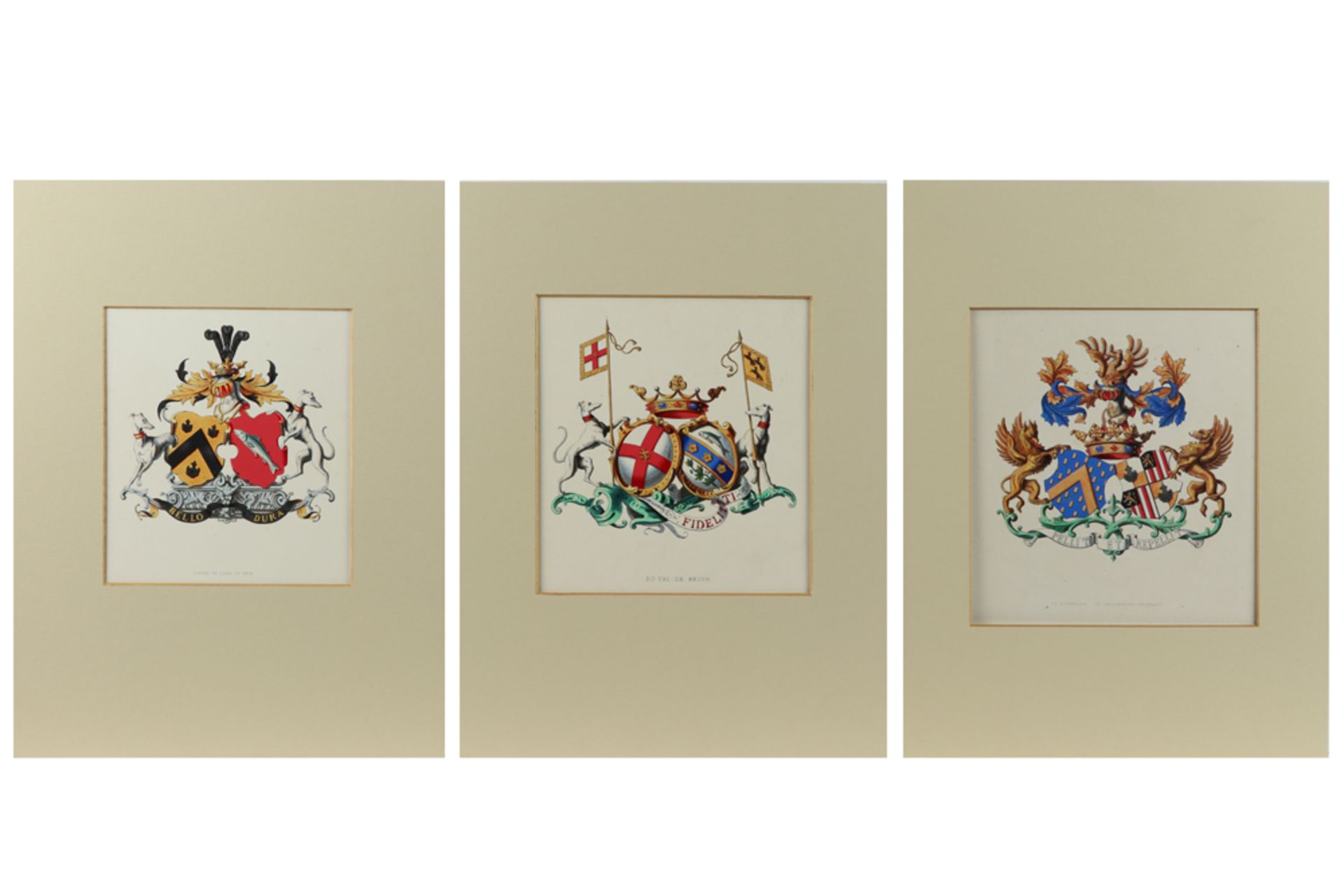 15 coloured engravings with crests || Lot van 15 ingekleurde gravures met wapenschilden - Bild 6 aus 6