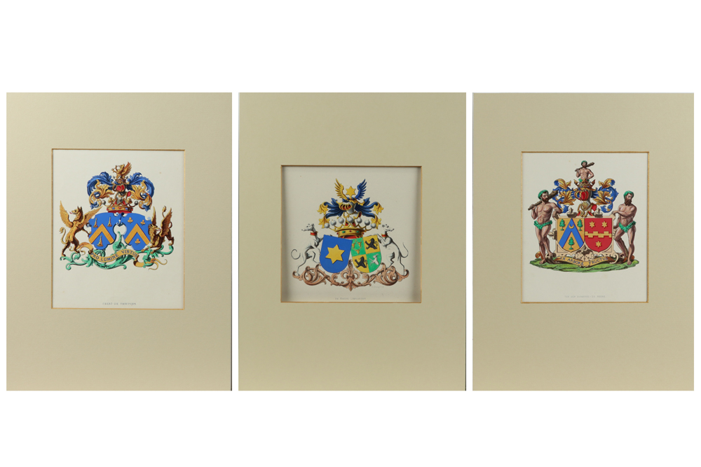 15 coloured engravings with crests || Lot van 15 ingekleurde gravures met wapenschilden - Image 4 of 6