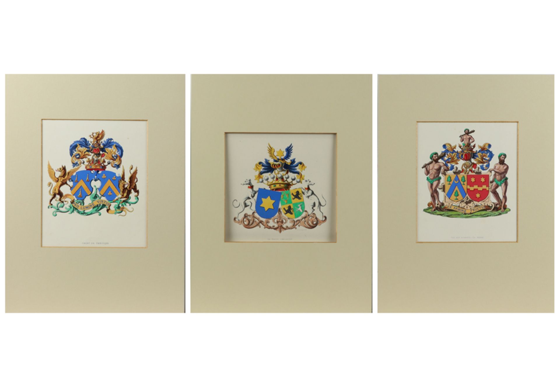 15 coloured engravings with crests || Lot van 15 ingekleurde gravures met wapenschilden - Bild 4 aus 6