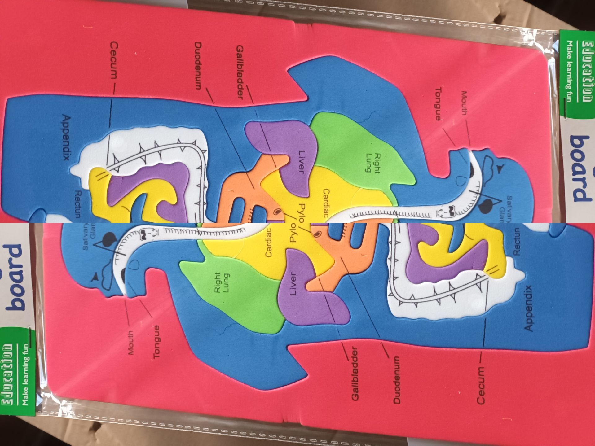 1000 X EDUCATIONAL FOAM PUZZLES - Image 2 of 3