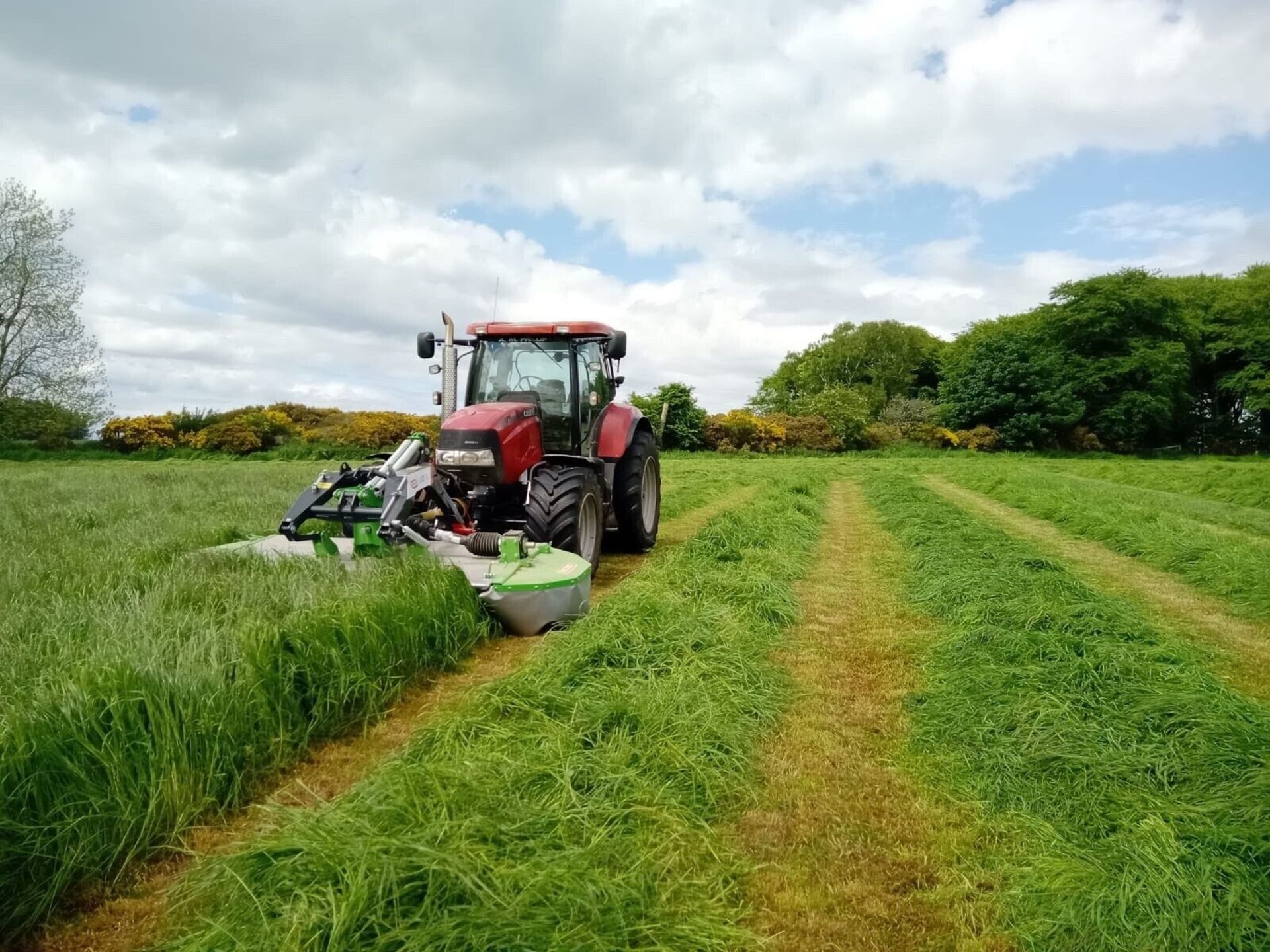 INTRODUCING THE NEW TALEX FASTCUT 300 PLAIN FRONT MOWER - 3M CUT! - Image 9 of 13