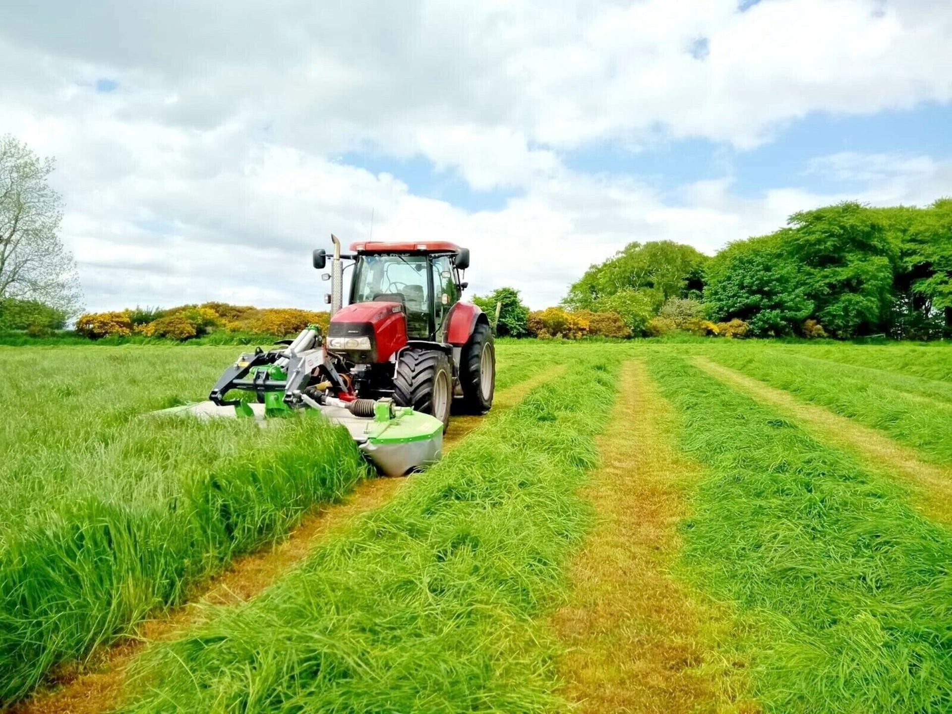 PRECISION IN EVERY PASS: NEW TALEX 10FT FRONT PLAIN MOWERS NOW IN STOCK! - Image 7 of 13