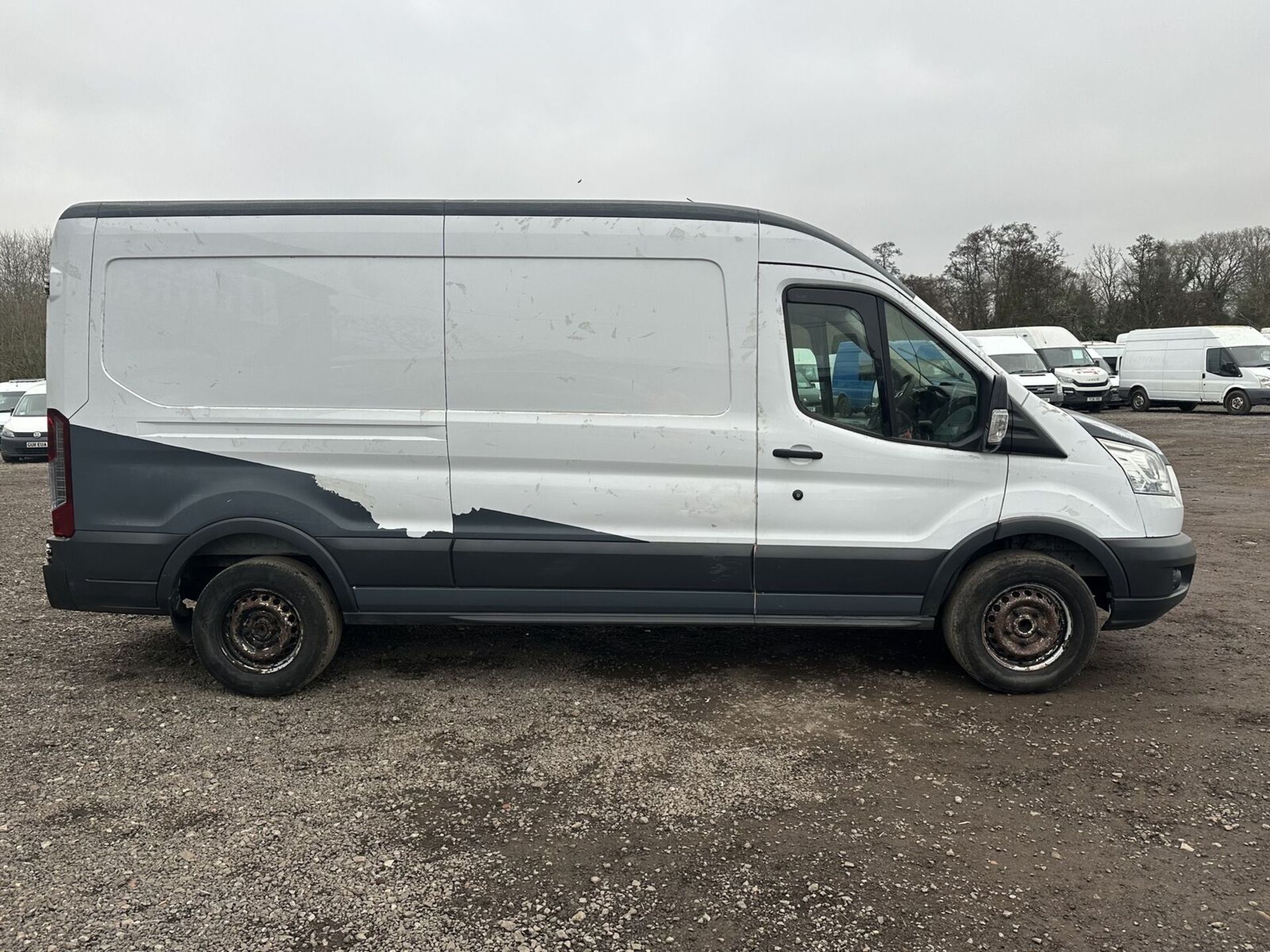 NON-RUNNING 66 PLATE TRANSIT: PERFECT ENGINE, WIRING LOOM NEEDED >>--NO VAT ON HAMMER--<<