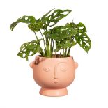 192 X NEW S&B LARGE FACE PLANTER MATT PINK