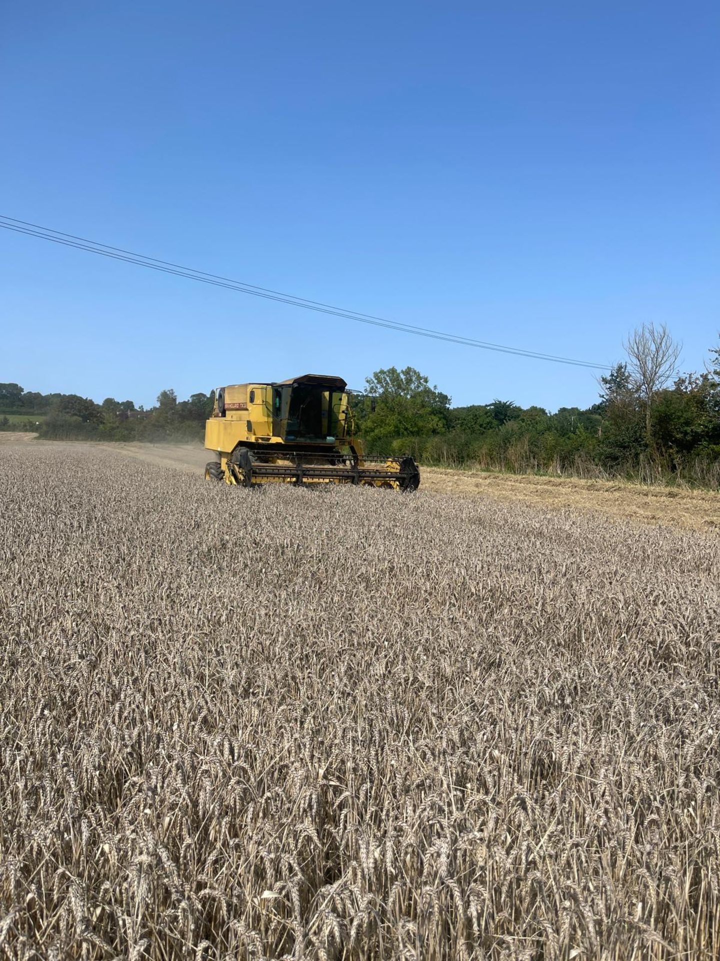 NEW HOLLAND TX32 COMBINE - Image 14 of 19