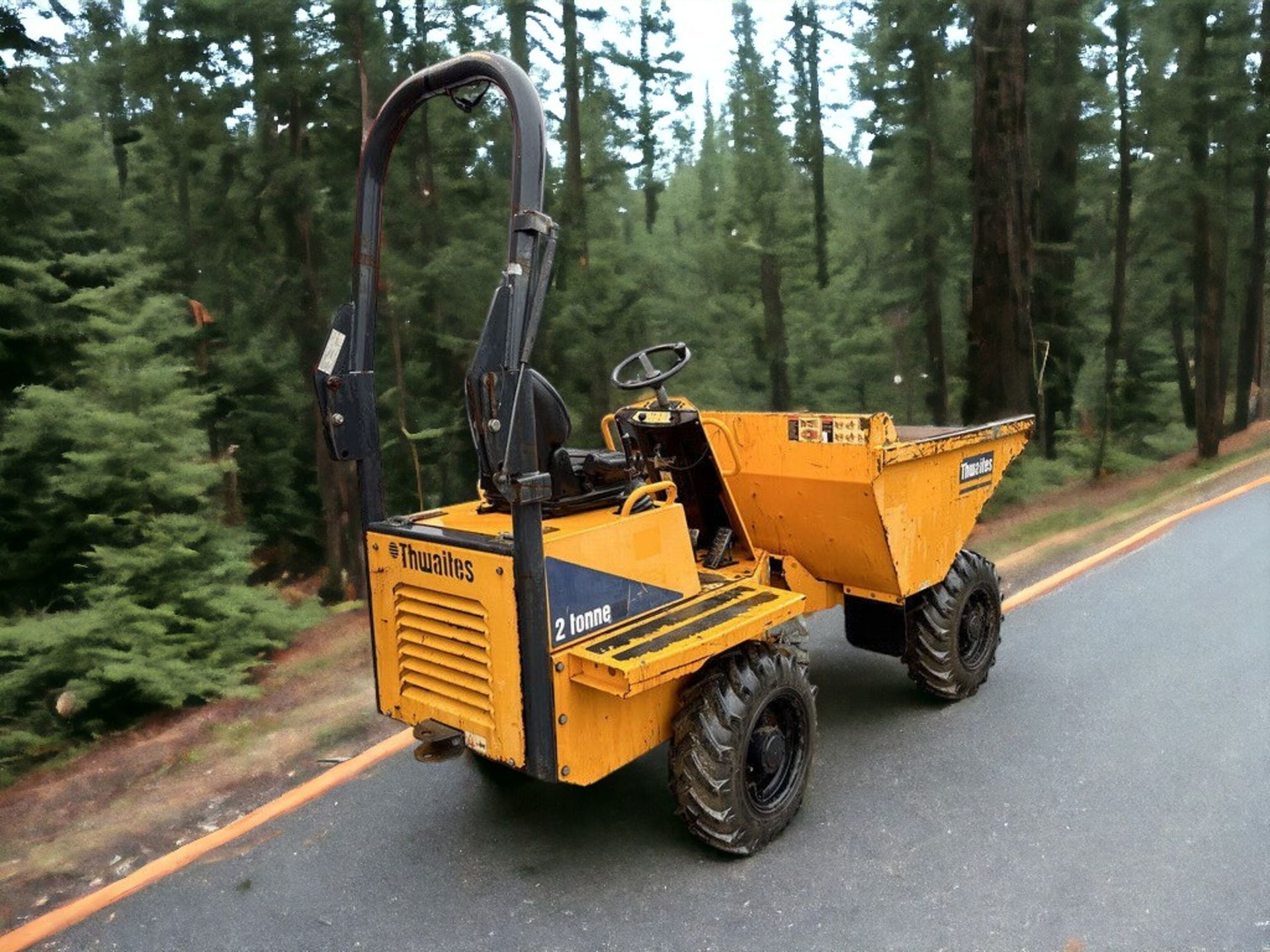 2017 THWAITES 2 TONNE DUMPER - LOW HOURS, HIGH PAYLOAD CAPACITY - Image 3 of 10