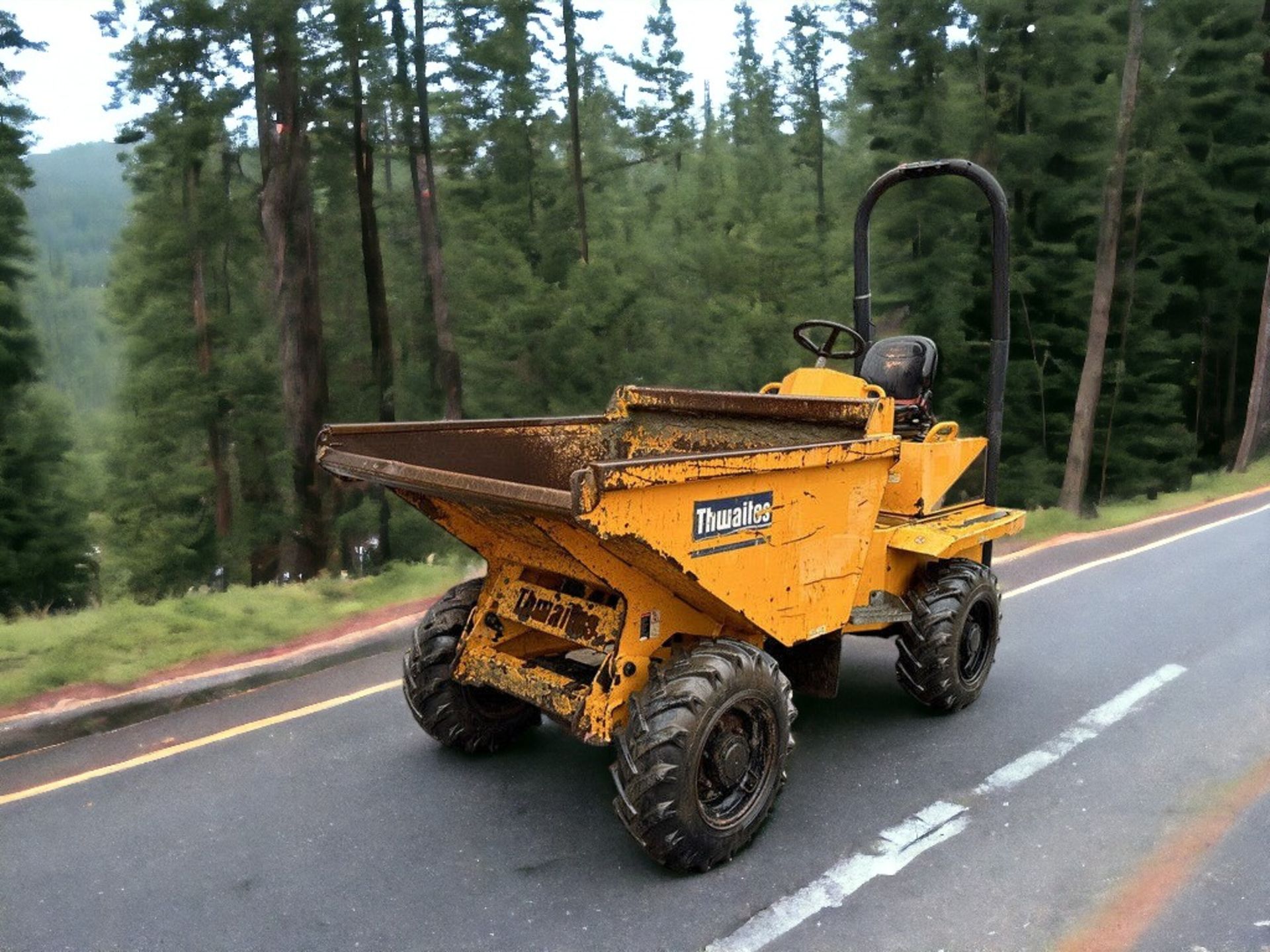 2017 THWAITES 2 TONNE DUMPER - LOW HOURS, HIGH PAYLOAD CAPACITY - Image 10 of 10