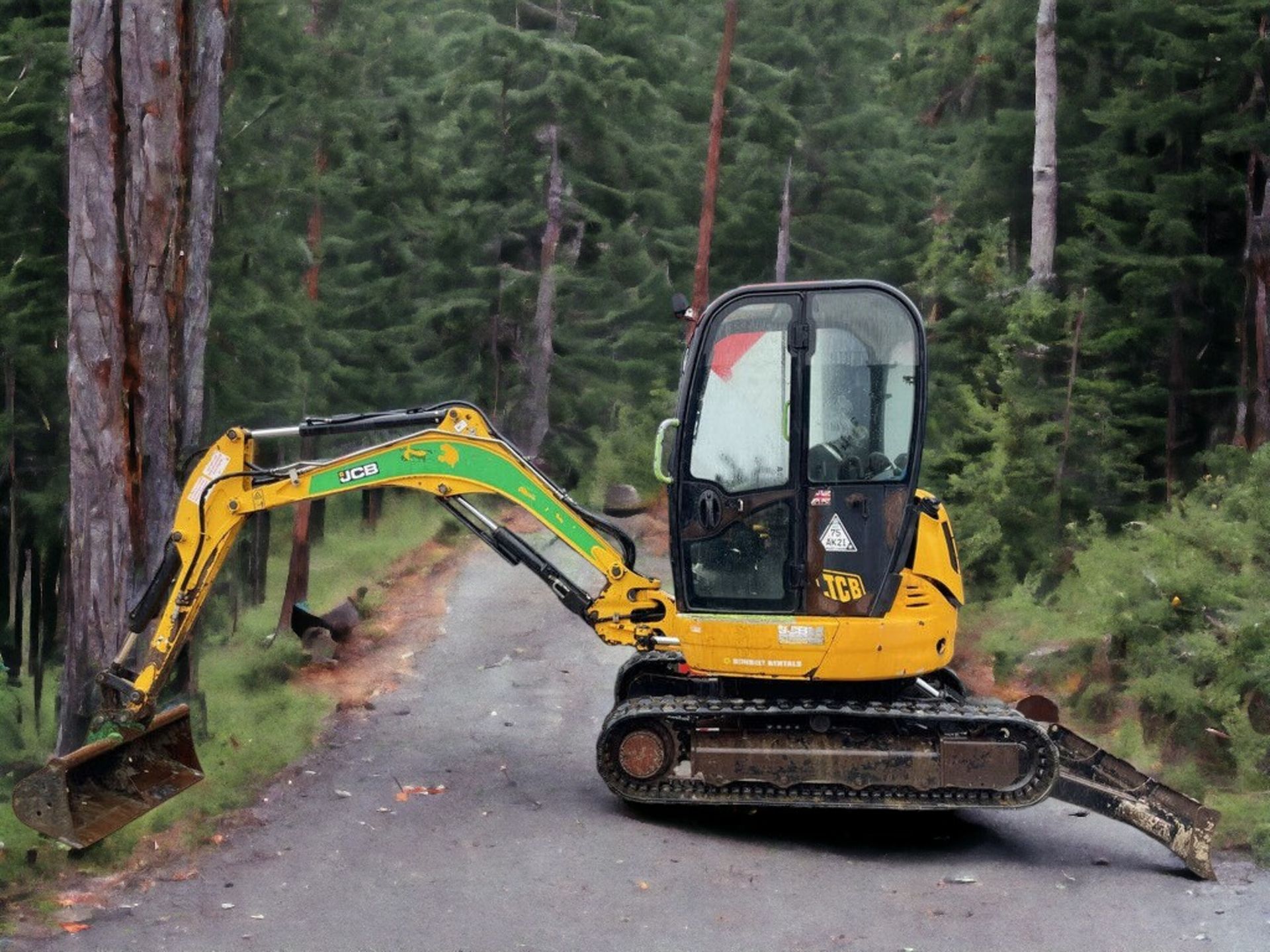 AUCTION LISTING: JCB 8030 ZTS MINI EXCAVATOR - Image 2 of 10