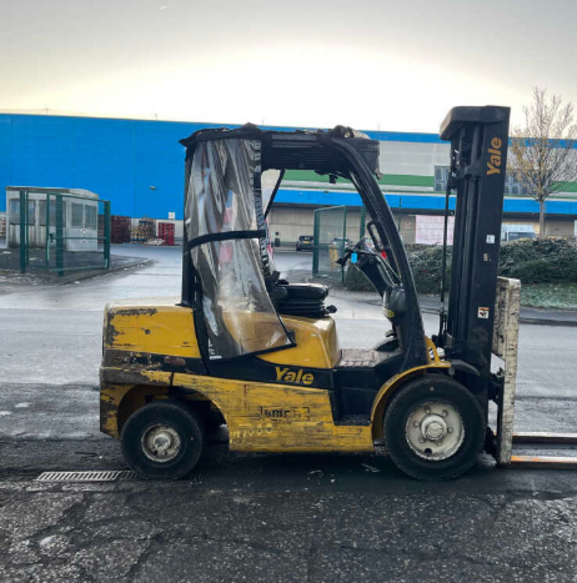 2017 DIESEL FORKLIFTS YALE GDP30VX - Image 5 of 5