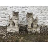 EXQUISITE PAIR OF CHINESE FOO DOGS: MAJESTIC GUARDIANS IN SOLID GRANITE/MARBLE!