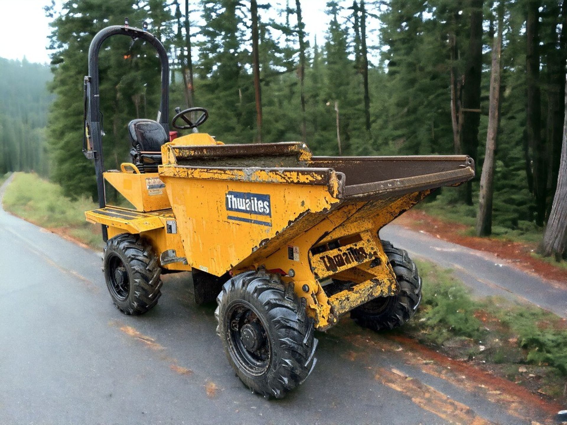 2017 THWAITES 2 TONNE DUMPER - LOW HOURS, HIGH PAYLOAD CAPACITY - Image 9 of 10