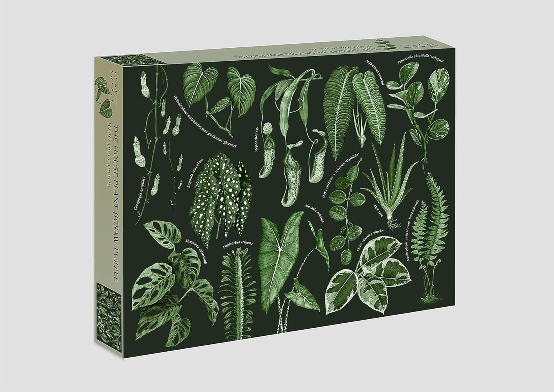 275 X THE NEW HOUSE PLANT JIGSAW PUZZLE 1,000 PC JIGSAW