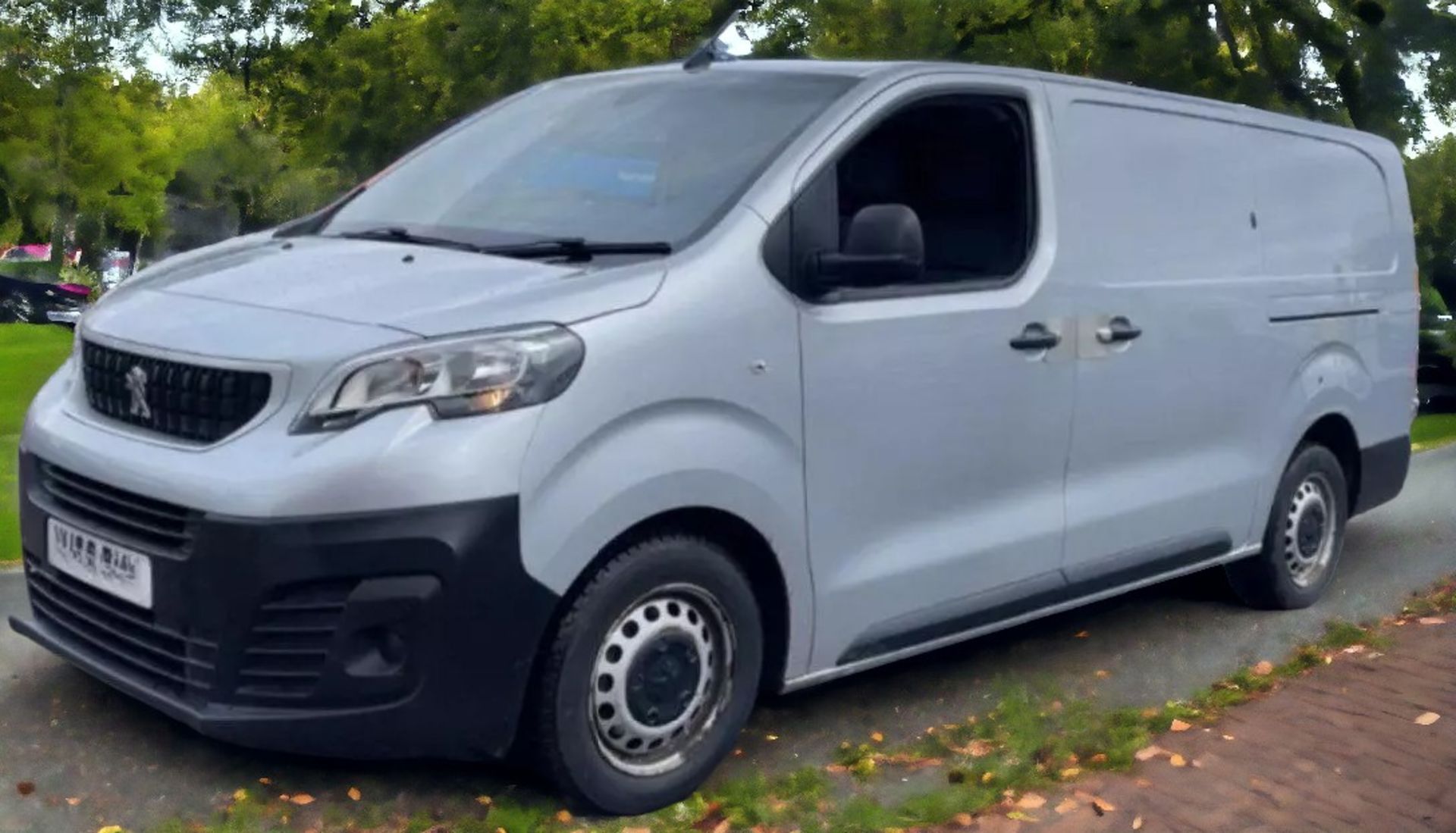 PEUGEOT EXPERT LWB PROFESSIONAL VAN - 2019