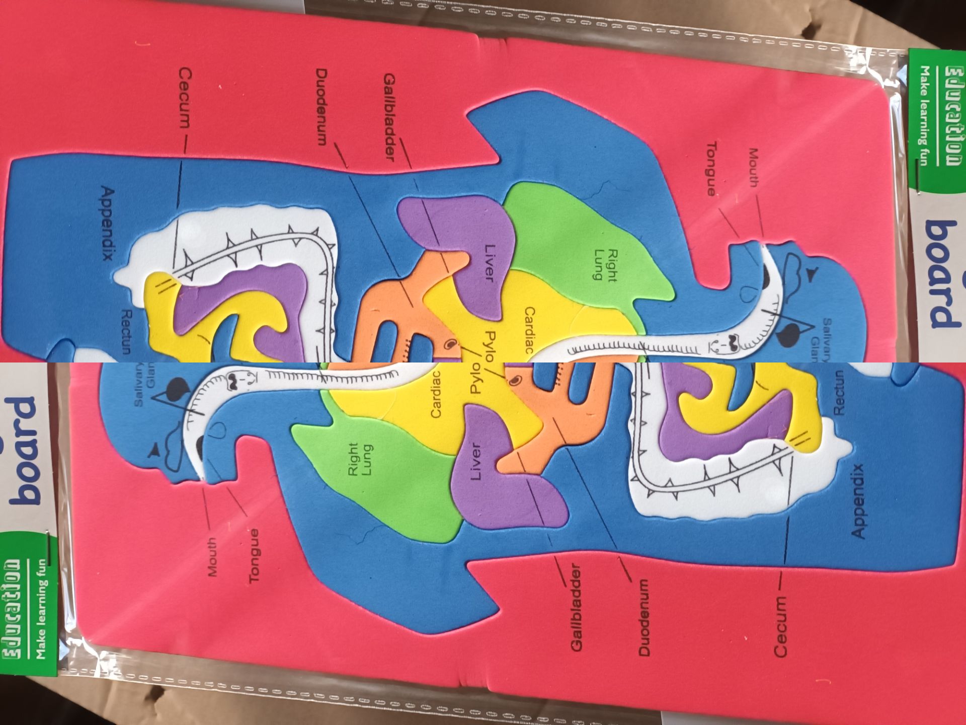 300 X EDUCATIONAL FOAM PUZZLES - Image 2 of 3