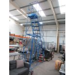 T.B.David Mobile Platform Ladder Max Load 159kg