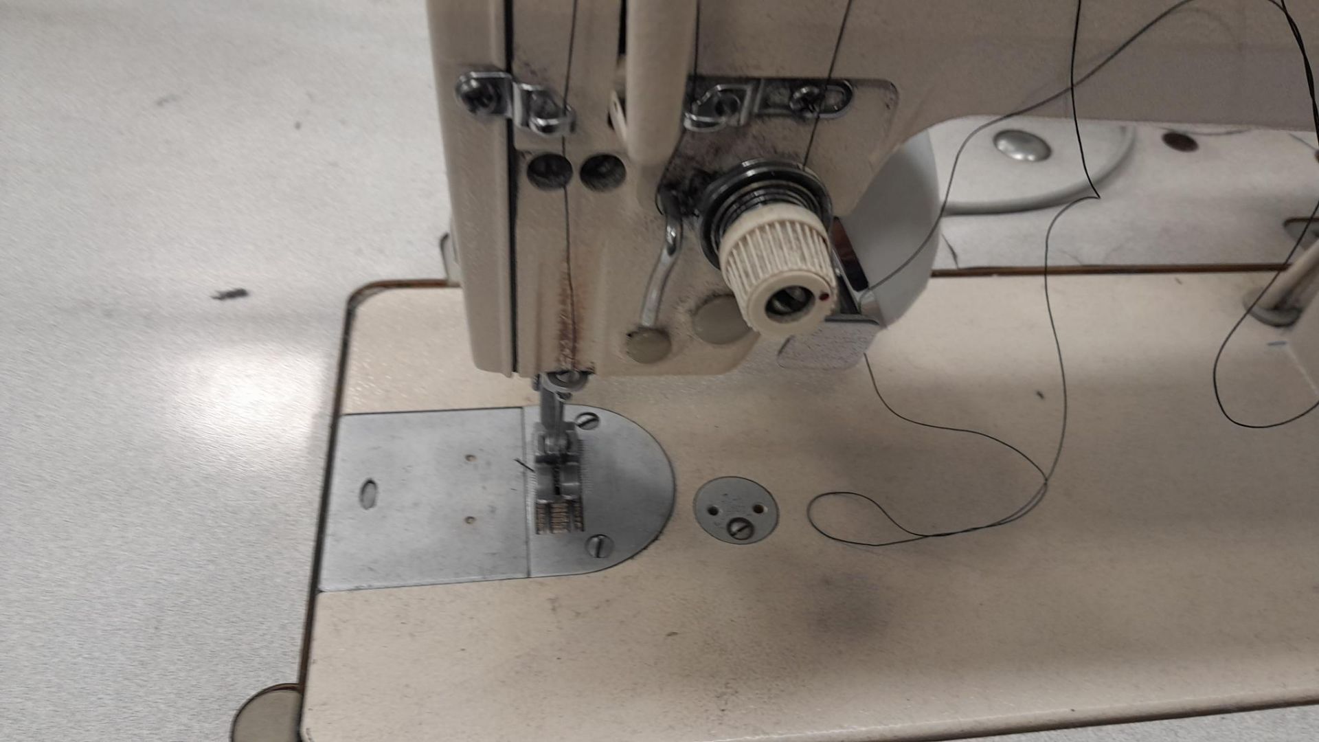 Sunstar KM-350BL-75 Flatbed Sewing Machine Serial Number Unknown, 240v - Image 5 of 5