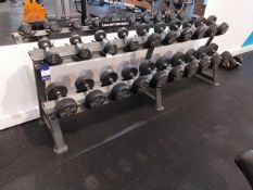 JORDAN Double Tier Dumbell Rack 20 Spaces (Weights not Included)