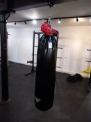 Hatton Leather Ceiling mounted Punch Bag with glov
