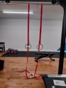 Gymnastic Rings, Bar and Clamps