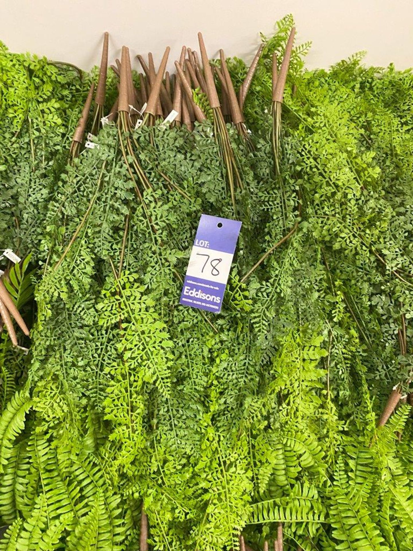 Approximately 50 Artificial Hanging Ferns