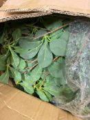 Box of Large Quantity of Artificial Foulage